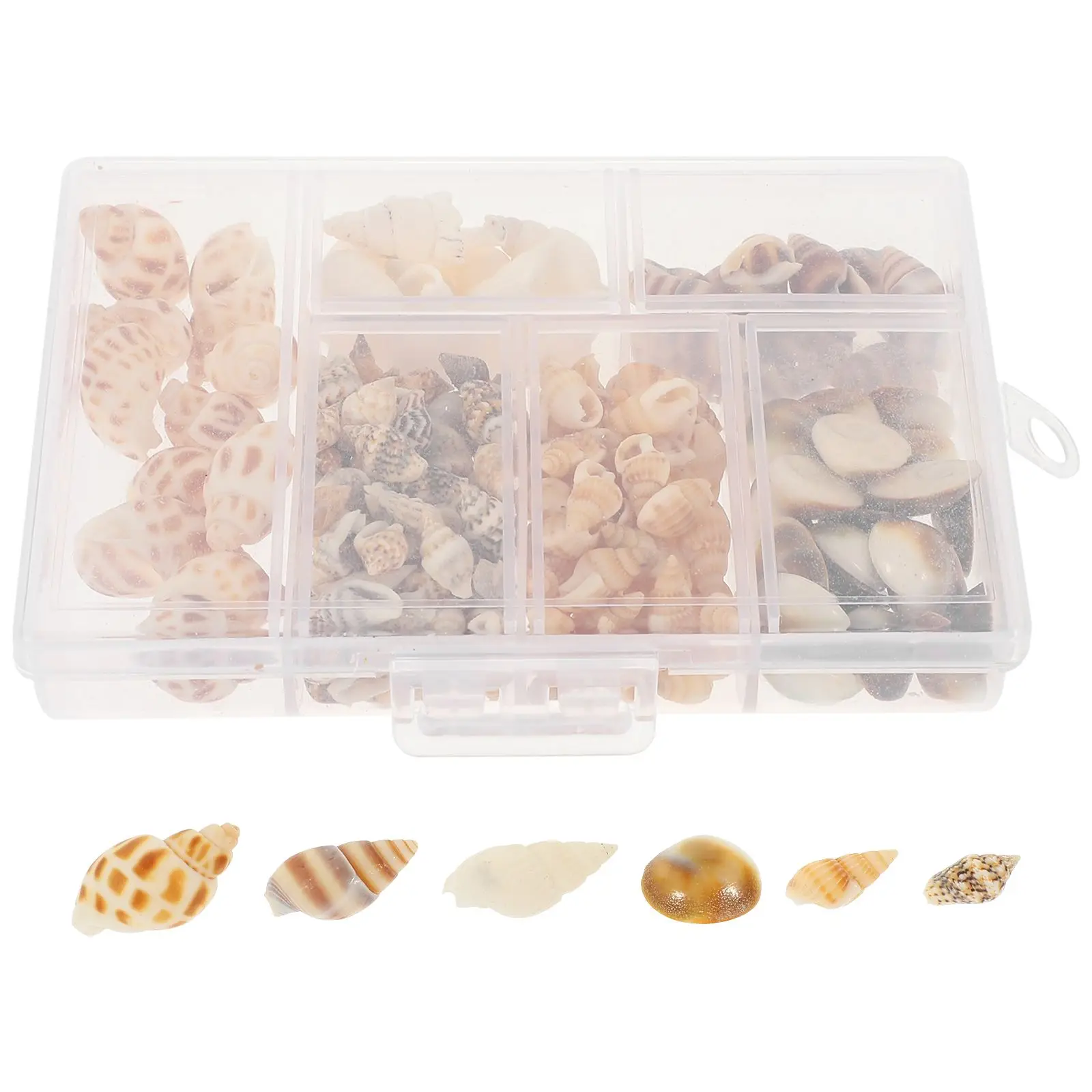 Natural Seashell BoxMixed Colors Conch Decoration DIY Crafts Props Shell Jewelry Making Kit Fish Tank Decorative Home
Natural Seashell BoxMixed Colors Conch Decoration DIY Crafts Props Shell Jewelry Making Kit Fish Tank Decorative Home