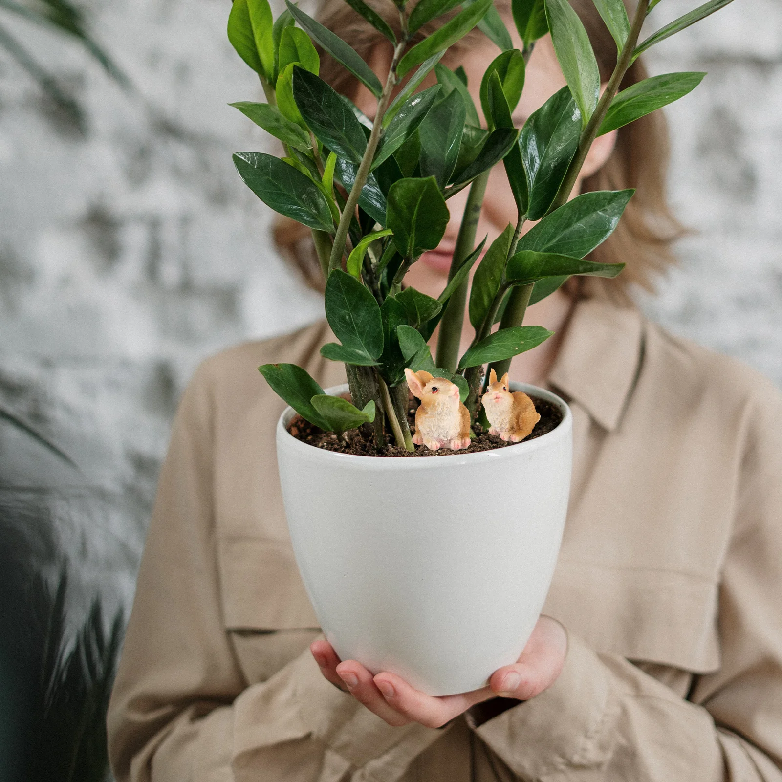 3Pcs Resin Mini Bunny Decoration Cute Small Rabbit for Fairy Garden Home Flower Pot Bonsai Resin Rabbit Mini Landscape Ornament
3Pcs Resin Mini Bunny Decoration Cute Small Rabbit for Fairy Garden Home Flower Pot Bonsai Resin Rabbit Mini Landscape Ornament