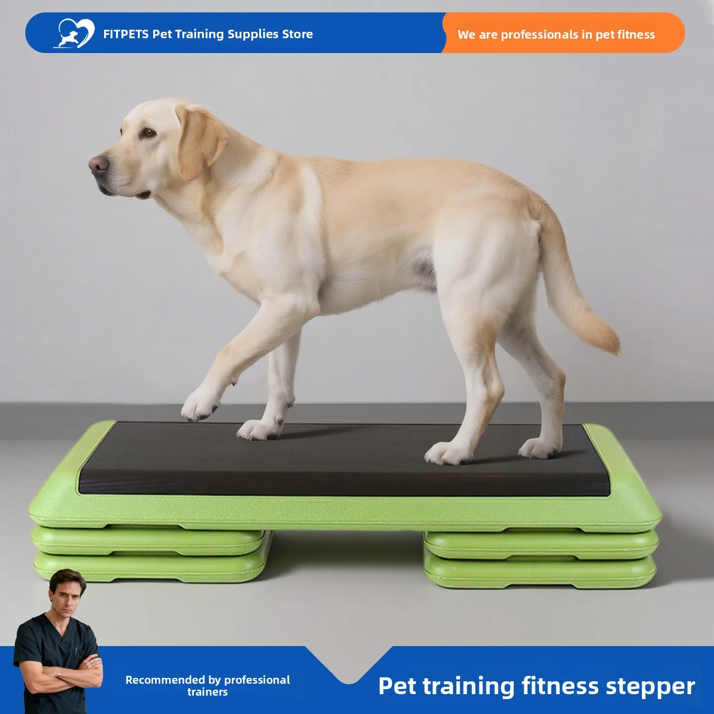 Pet Dog Muscle Training Fitn Sport Pedal Skin Adhesive Post-Operative Recovery for Weak Hind Limbs ter Hip Surgery
Pet Dog Muscle Training Fitn Sport Pedal Skin Adhesive Post-Operative Recovery for Weak Hind Limbs ter Hip Surgery