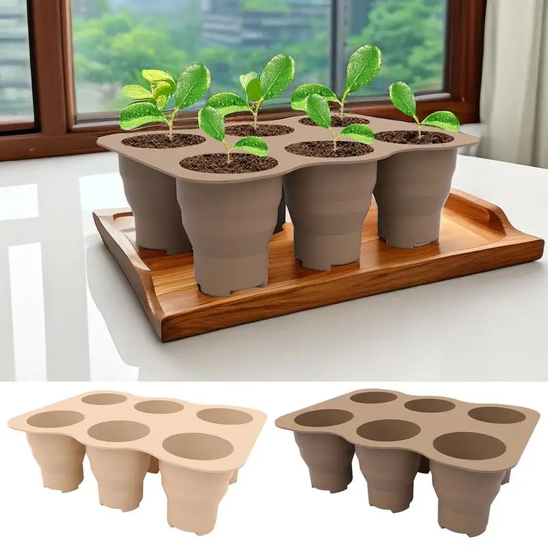 6 Grids Nursery Pots For Plants Succulent Plant Trays Nursery Pot Germination Kit Garden Supplies for Flower Succulent Indoor
6 Grids Nursery Pots For Plants Succulent Plant Trays Nursery Pot Germination Kit Garden Supplies for Flower Succulent Indoor