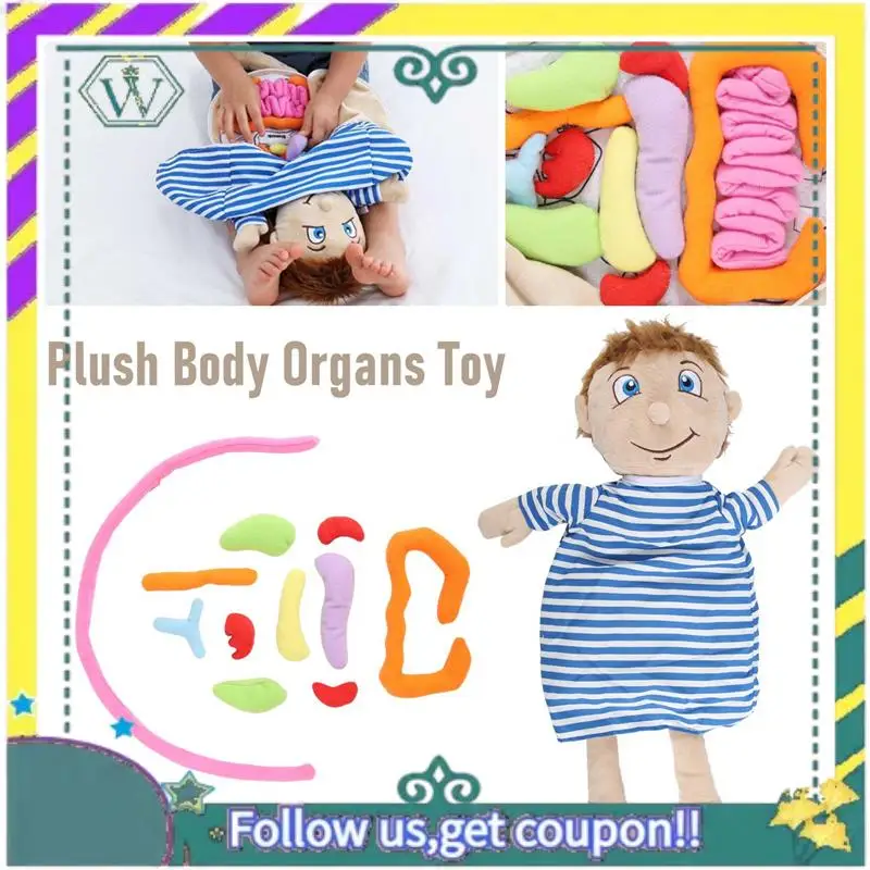 (New) Kids Assembled Plush Body Organs Toy Human Body Anatomy Plush Doll Science Teaching Aids Tool Educational Toys
(New) Kids Assembled Plush Body Organs Toy Human Body Anatomy Plush Doll Science Teaching Aids Tool Educational Toys