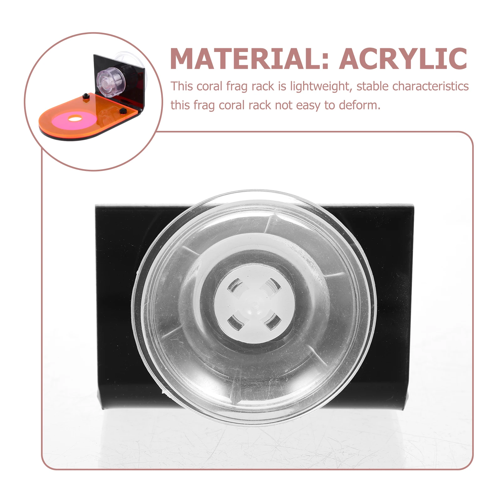 Coral Base Fluorescent Aquarium Reef Rack Fish Tank Accessory Acrylic Coral Holder Marine Aquarium Supply
Coral Base Fluorescent Aquarium Reef Rack Fish Tank Accessory Acrylic Coral Holder Marine Aquarium Supply