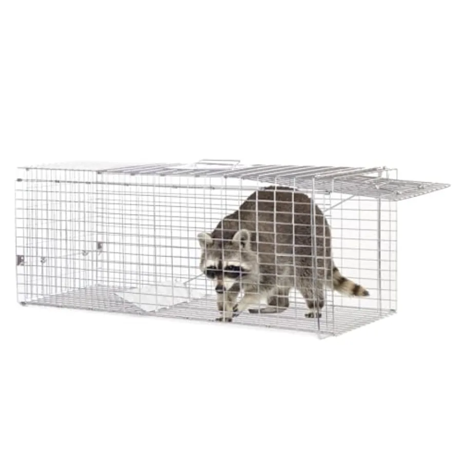 Animal Traps, Live Animal Trap for Cats, Raccoons, Rabbits, cat Trap for Stray Cats, Live Traps for Raccoons, Steel Foldable wi
Animal Traps, Live Animal Trap for Cats, Raccoons, Rabbits, cat Trap for Stray Cats, Live Traps for Raccoons, Steel Foldable wi