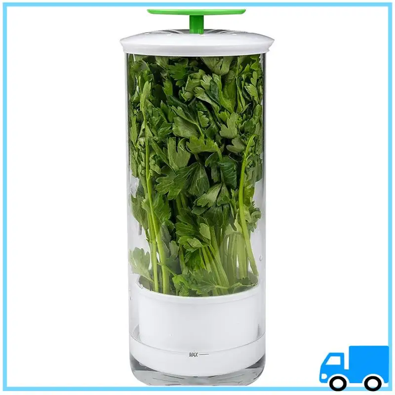 Latest Vegetable Herb Preservator Herb Coriander Fresh-Keeping Box Breathable Herb Storage Container
Latest Vegetable Herb Preservator Herb Coriander Fresh-Keeping Box Breathable Herb Storage Container