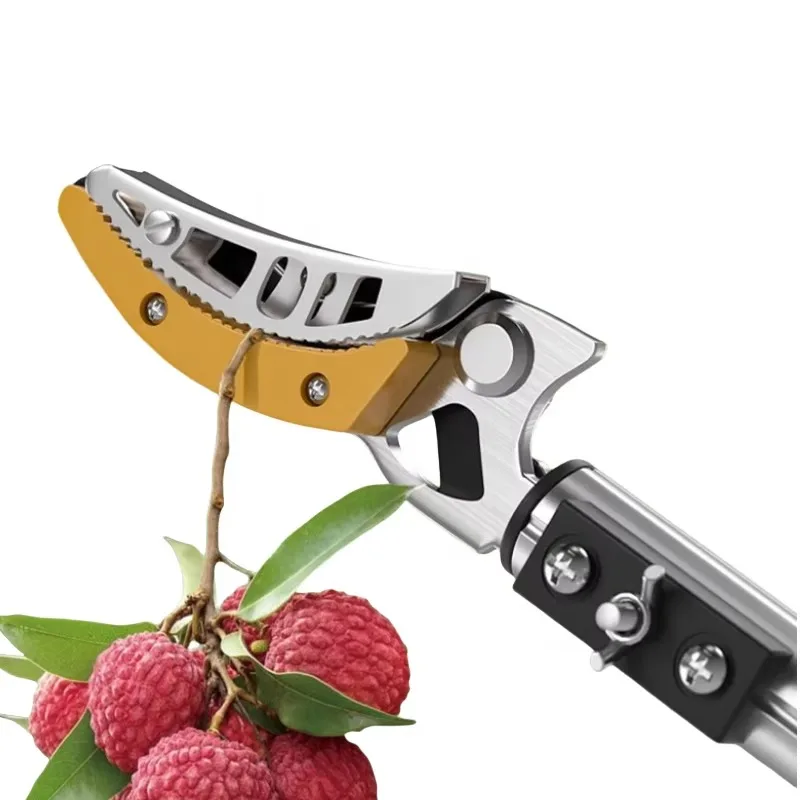 Fruit-picking High Altitude Telescopic Extension High Branch Scissors Branch Pruning Fruit Tree Folding
Fruit-picking High Altitude Telescopic Extension High Branch Scissors Branch Pruning Fruit Tree Folding