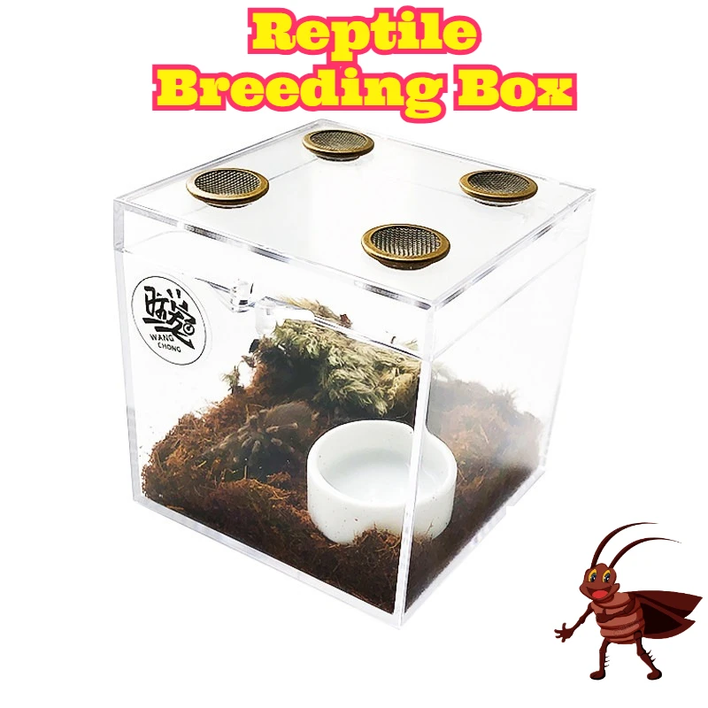 Tarantula Jumping Spider Clear Acrylic Breeding Box Ventilated Terrestrial Arboreal Terrarium Desktop Spider Pet Rearing Habitat
Tarantula Jumping Spider Clear Acrylic Breeding Box Ventilated Terrestrial Arboreal Terrarium Desktop Spider Pet Rearing Habitat