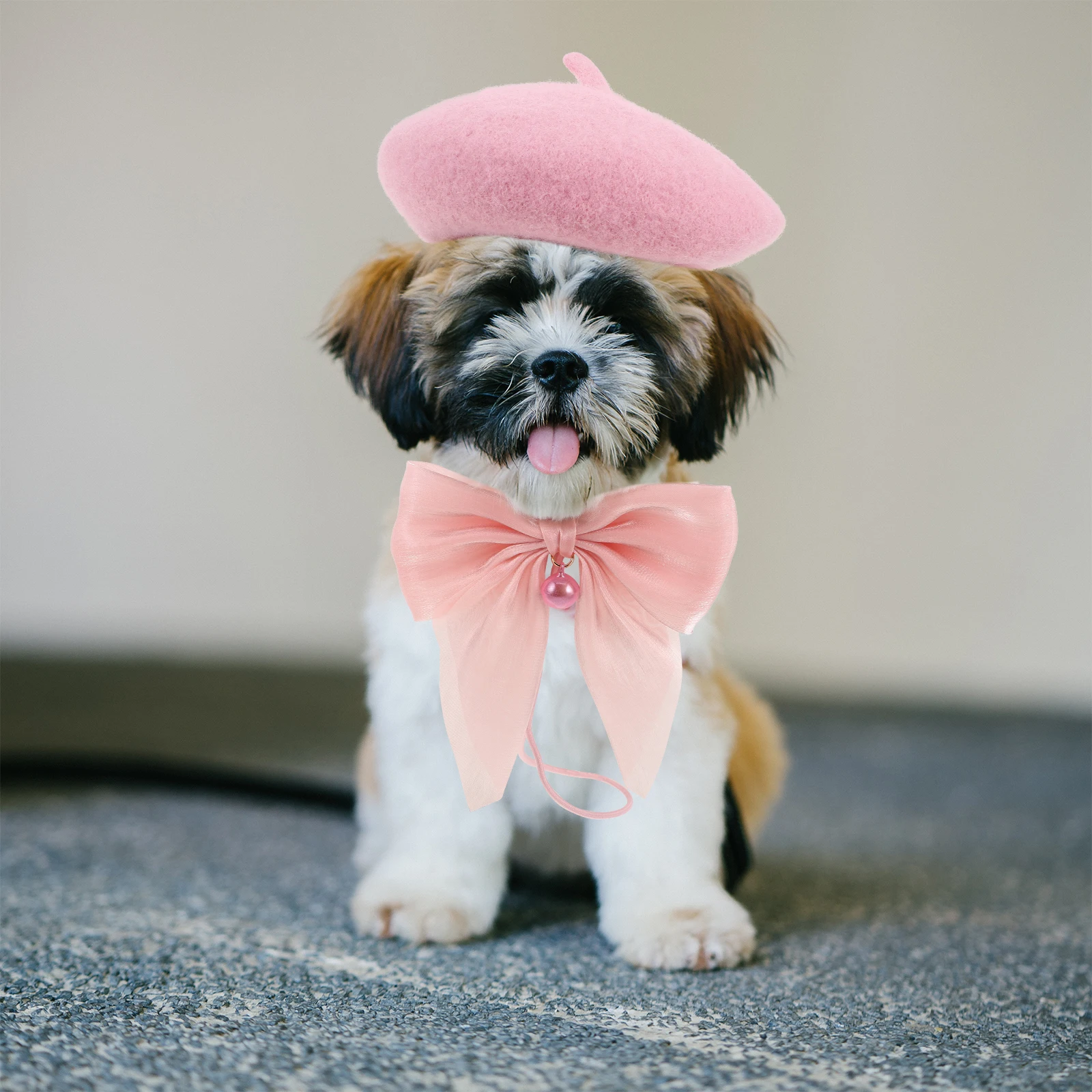 Pet Decoration Set Cat Collar Bow Embellishments Tie Dog Bandana Bonnet Cartoon Cap Beret for Dogs Carnival Hat Red
Pet Decoration Set Cat Collar Bow Embellishments Tie Dog Bandana Bonnet Cartoon Cap Beret for Dogs Carnival Hat Red