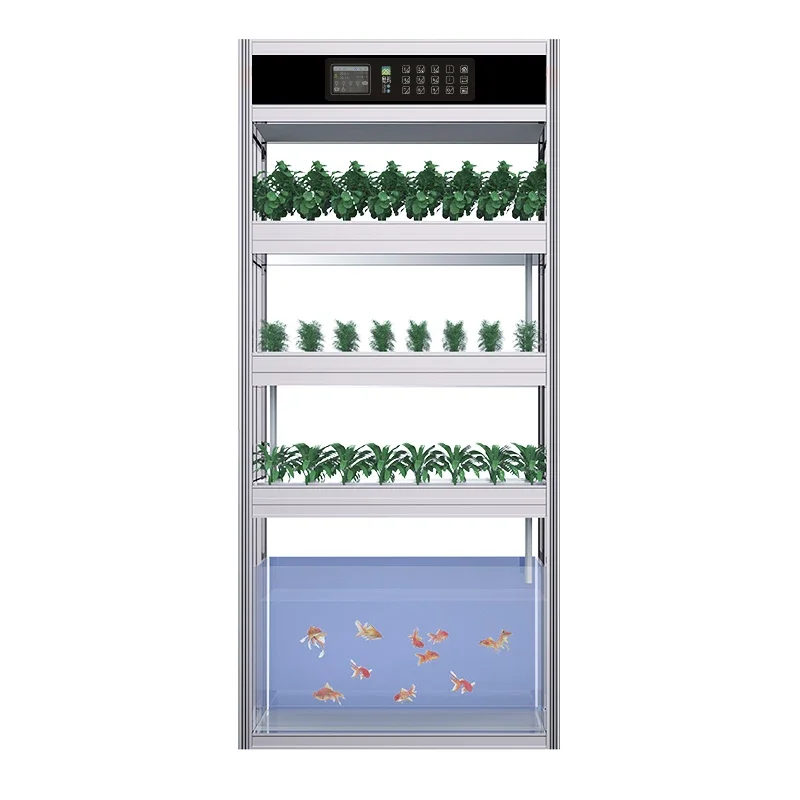 Aquaponics System Equipment Hydroponic Vegetable Planting Machine Integrated Home Intelligent Soilless
Aquaponics System Equipment Hydroponic Vegetable Planting Machine Integrated Home Intelligent Soilless