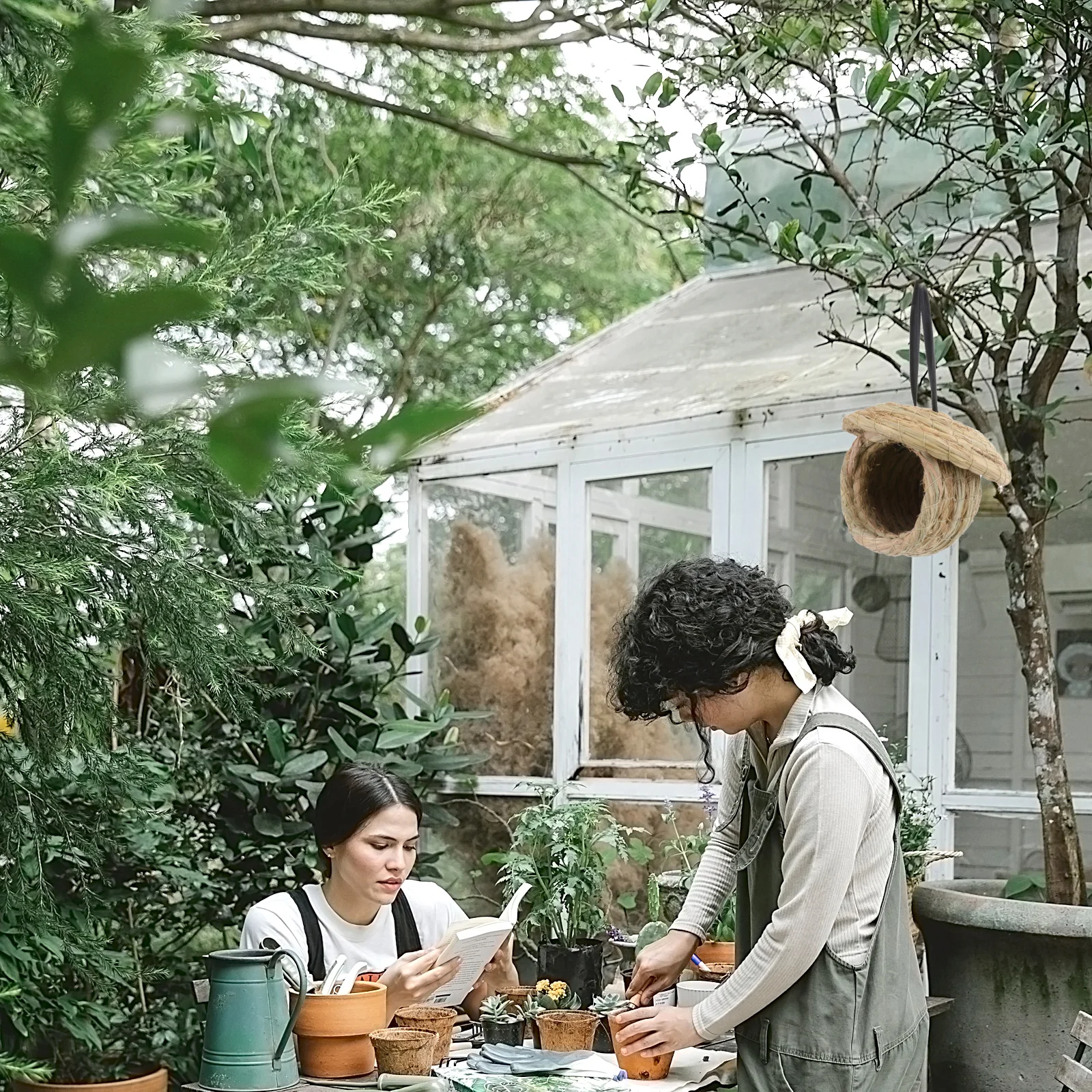 Straw Nest for Small Birds Parakeets Budgerigar Handwoven Natural Material Safe Comfortable Bird Home Habitat Straw Nest
Straw Nest for Small Birds Parakeets Budgerigar Handwoven Natural Material Safe Comfortable Bird Home Habitat Straw Nest