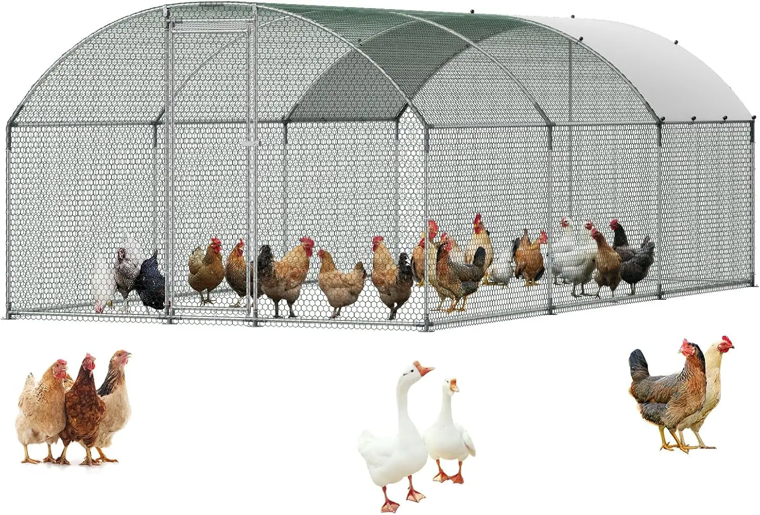 Large Metal Chicken Coop with Run, 19.6 x 9.8 x 6.5 ft Walkin Chicken Coop for Yard with Waterproof Cover, Dome Roof Large Poult
Large Metal Chicken Coop with Run, 19.6 x 9.8 x 6.5 ft Walkin Chicken Coop for Yard with Waterproof Cover, Dome Roof Large Poult