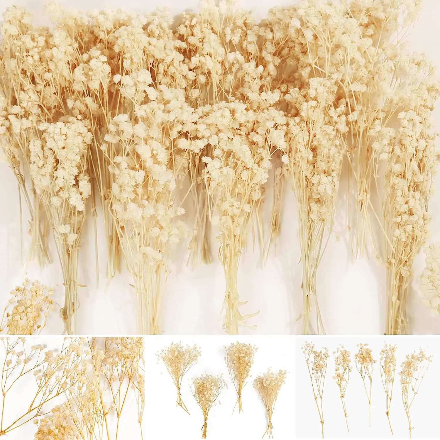 13PCS Mini Dried Baby's Breath Flowers Ivory White Flowers Bouquet Hair Accessory Wedding Table Vase Home Decor Christmas Autumn
13PCS Mini Dried Baby's Breath Flowers Ivory White Flowers Bouquet Hair Accessory Wedding Table Vase Home Decor Christmas Autumn