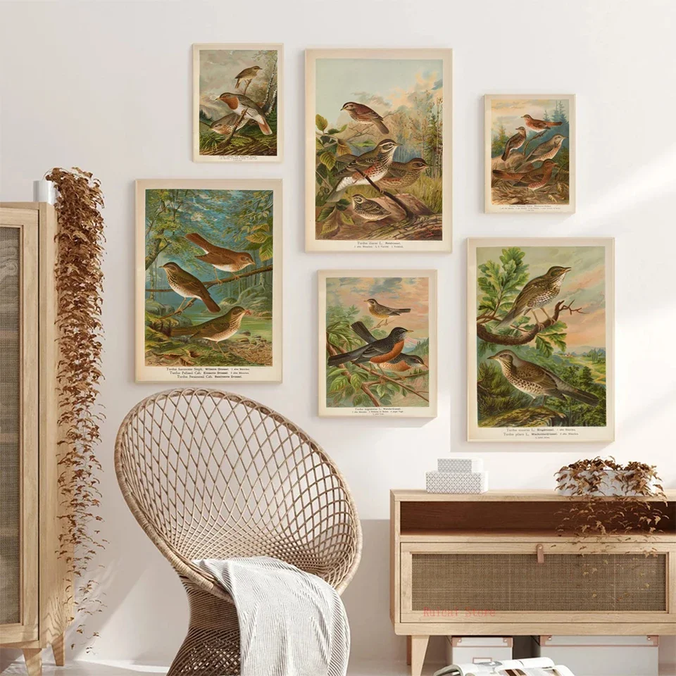 1897 Antique Bird Poster European Robin Prints Wall Art Picture Canvas Painting Home Decoration Gif
1897 Antique Bird Poster European Robin Prints Wall Art Picture Canvas Painting Home Decoration Gif