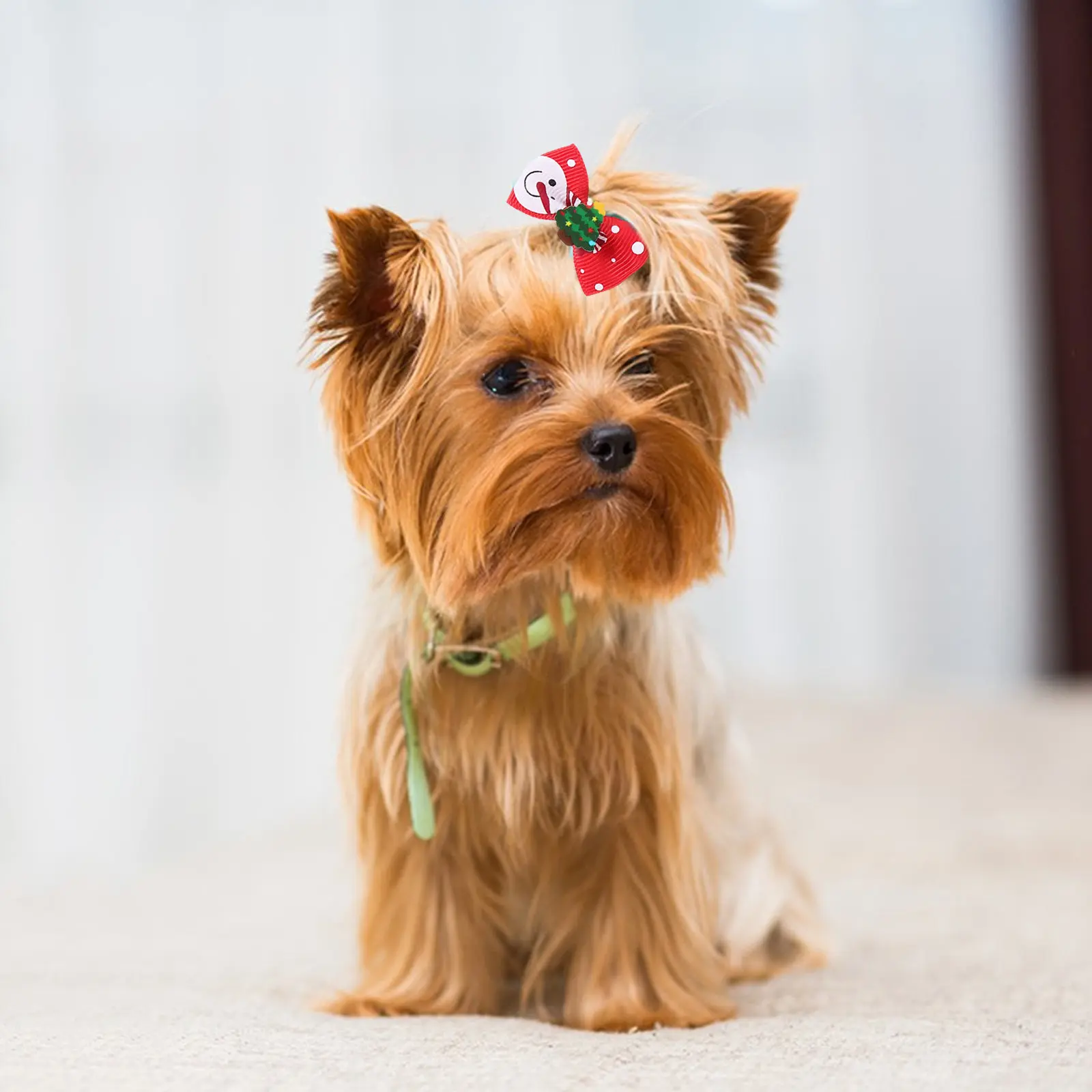 100pcs Band For Dog Christmas Design Puppy Tie Cloth Rope Mixed Style Pet Accessories Dog Hair Rope Pet Hair Holder
100pcs Band For Dog Christmas Design Puppy Tie Cloth Rope Mixed Style Pet Accessories Dog Hair Rope Pet Hair Holder