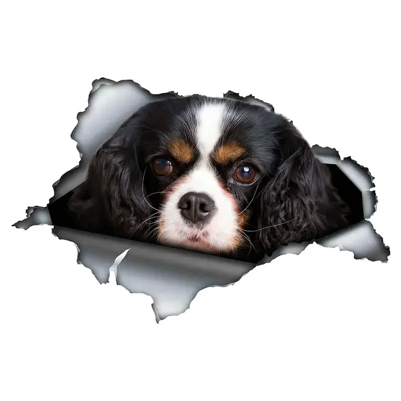 Car Sticker Personalized Creative King Charles Dog Motorcycle PVC Waterproof Sunscreen Decals
Car Sticker Personalized Creative King Charles Dog Motorcycle PVC Waterproof Sunscreen Decals