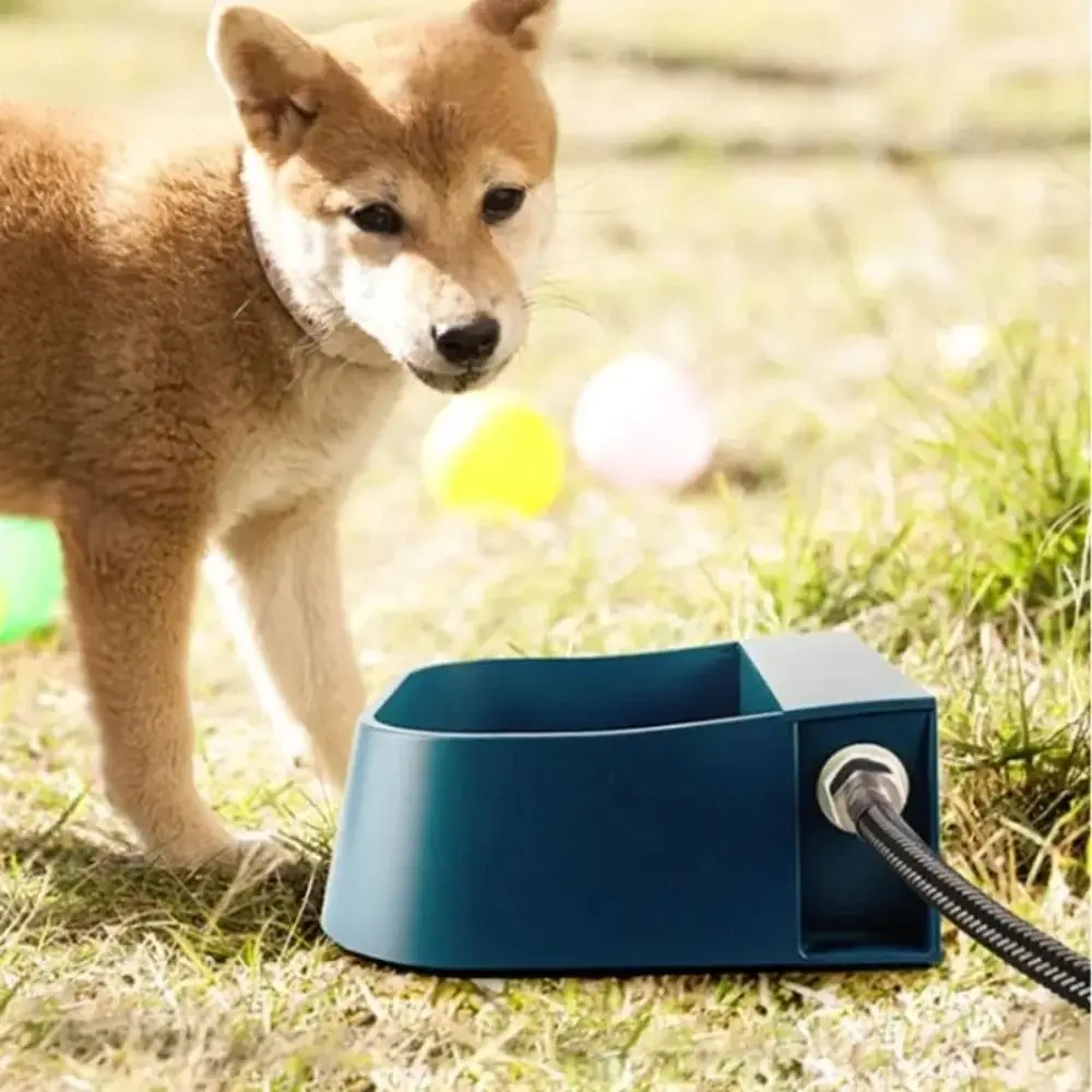 Pet Bowl 2L Pet Drinker Bowl Auto-Fill Float Valve Automatic Water Feeder Bowl High Capacity Drinker Dog Bowl Chicken
Pet Bowl 2L Pet Drinker Bowl Auto-Fill Float Valve Automatic Water Feeder Bowl High Capacity Drinker Dog Bowl Chicken