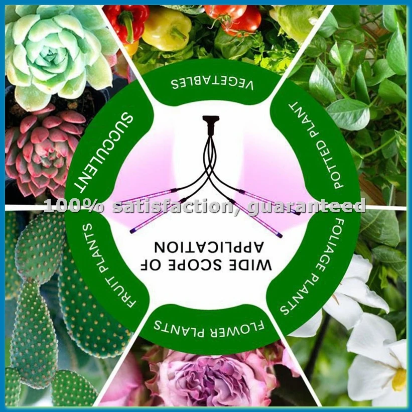 Светодиодные фитолампы для растений, полноспектральные лампы для выращивания растений в гидропонике, многоуровневая регулировка яркости, с функцией таймера - ABHG
Светодиодные фитолампы для растений, полноспектральные лампы для выращивания растений в гидропонике, многоуровневая регулировка яркости, с функцией таймера - ABHG