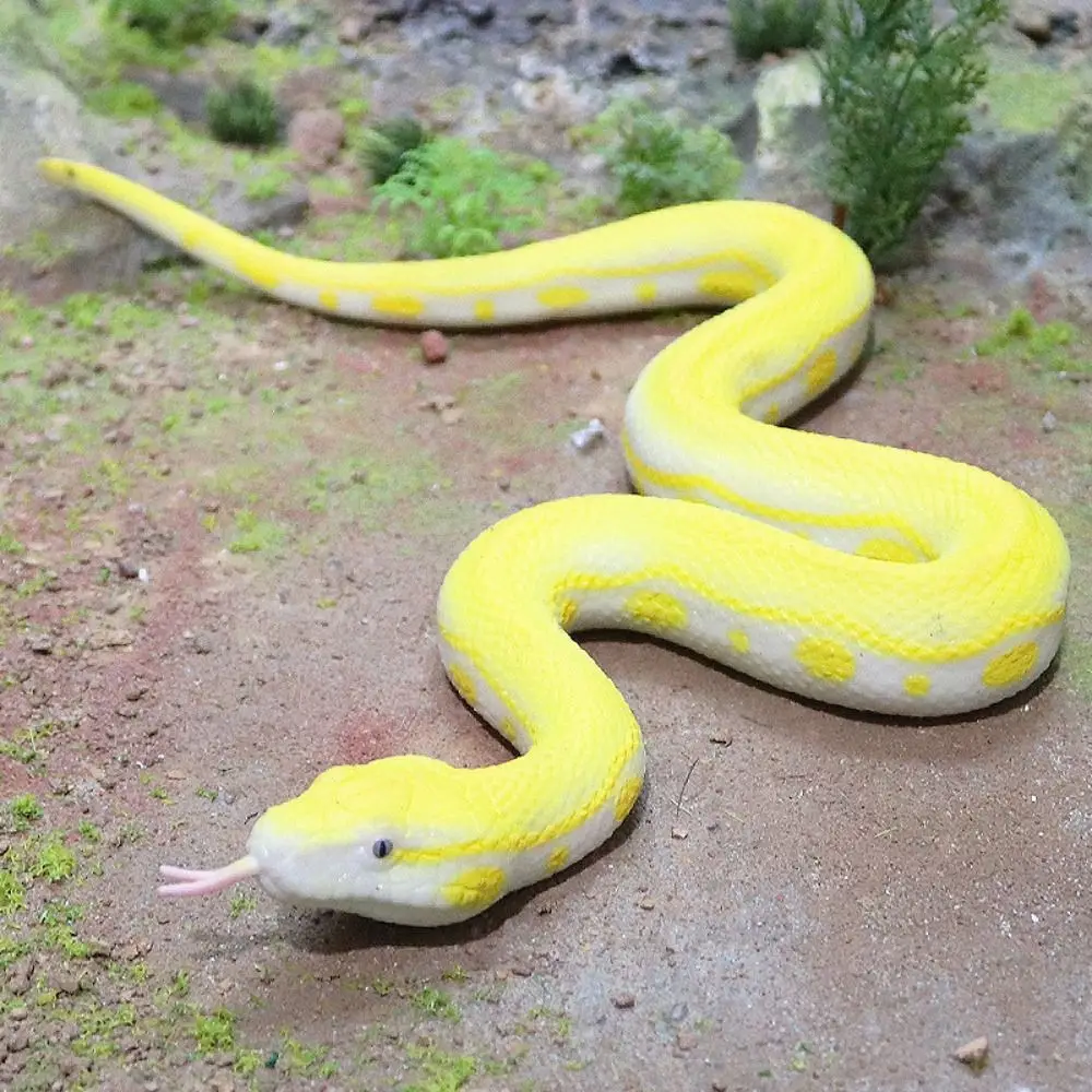 Funny Reptile Animal Snake Action Figures Python Cobra Educational Rattlesnake Model Lifelike Elastic Simulation Snake Prank
Funny Reptile Animal Snake Action Figures Python Cobra Educational Rattlesnake Model Lifelike Elastic Simulation Snake Prank