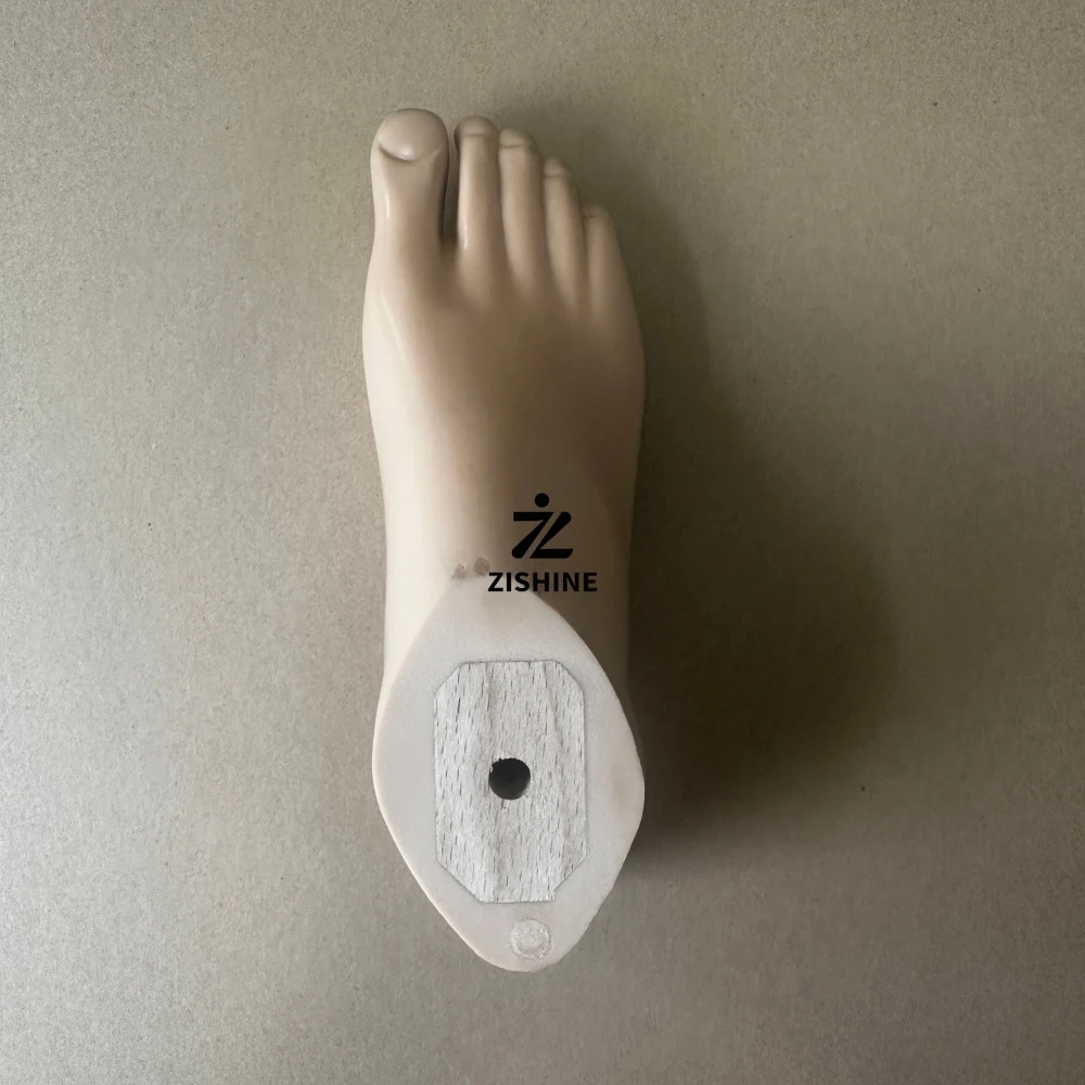 Prosthetic SACH Foot with Wooden Core Left Right Prosthesis Feet for Amputees Artificial Limbs Lower Extremity Plus Size 22-29cm
Prosthetic SACH Foot with Wooden Core Left Right Prosthesis Feet for Amputees Artificial Limbs Lower Extremity Plus Size 22-29cm