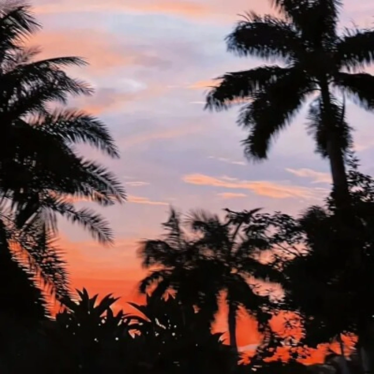 Алюминий 7075 + задние рычаги из нержавеющей стали для TEAM CORALLY 1/10 Sketer XL4S C-00180-556
Алюминий 7075 + задние рычаги из нержавеющей стали для TEAM CORALLY 1/10 Sketer XL4S C-00180-556