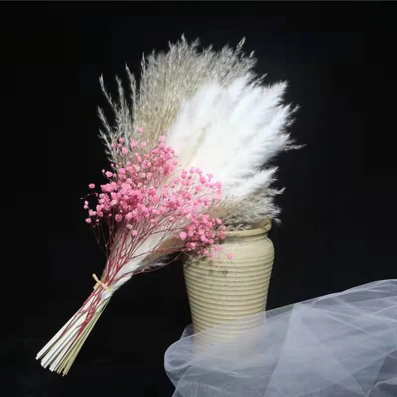 Natural Primary Color And White Small Pampas Grass High Quality Natural Dried Flower For Home Wedding Room Decor Colorful Bouque
Natural Primary Color And White Small Pampas Grass High Quality Natural Dried Flower For Home Wedding Room Decor Colorful Bouque