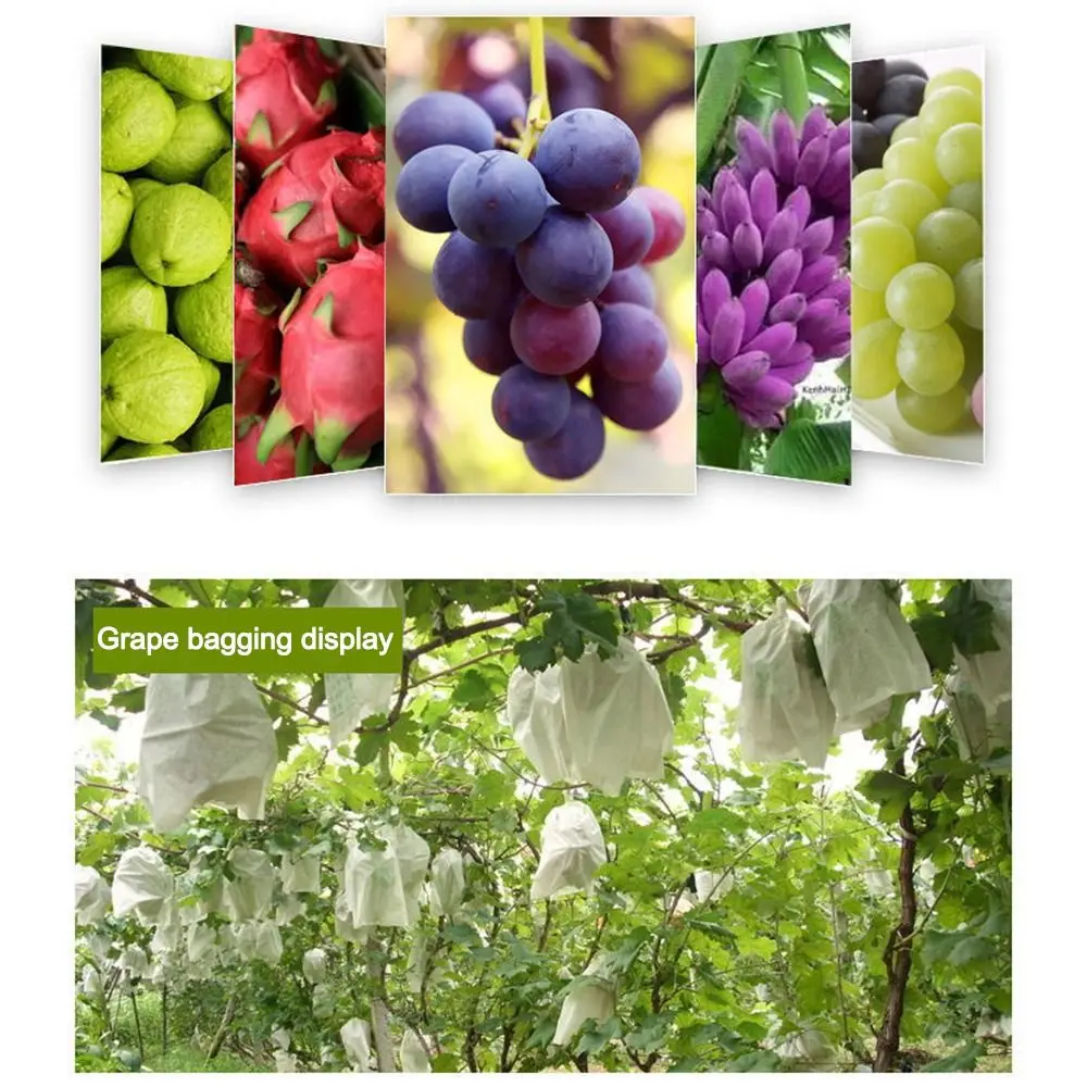 50Pcs Fabric Planting Pocket Fruit Protection Bags Garden Greenhouse Supplies Anti-bird Non-Woven Plant Nursery Bags
50Pcs Fabric Planting Pocket Fruit Protection Bags Garden Greenhouse Supplies Anti-bird Non-Woven Plant Nursery Bags