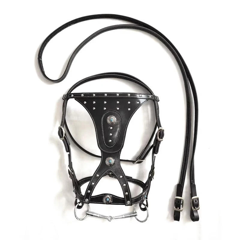 Bridle reins pure cowhide leash reins harness hitch horse equipment new dragon set metal buckle atmosphere
Bridle reins pure cowhide leash reins harness hitch horse equipment new dragon set metal buckle atmosphere