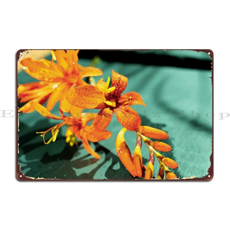 Оранжевый цветок Crocosmia, металлический знак, клубный фотоальбом, гаражная пещера, дизайн кинотеатра, оловянный знак, плакат
Оранжевый цветок Crocosmia, металлический знак, клубный фотоальбом, гаражная пещера, дизайн кинотеатра, оловянный знак, плакат