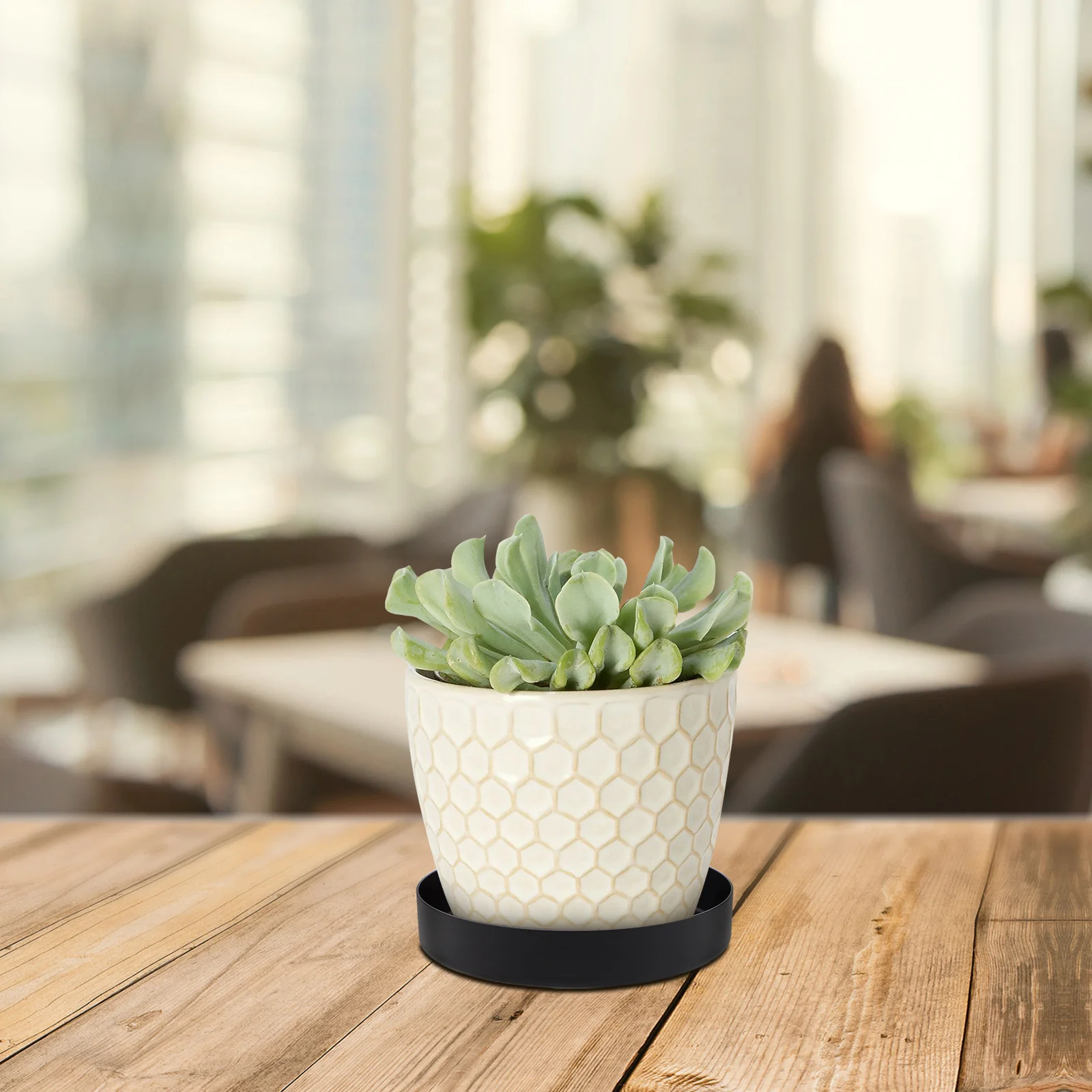Flower Pot Tray Large Capacity Stainless Steel Plant Saucer Indoor Garden Drip Trays Water Drainage Collectors
Flower Pot Tray Large Capacity Stainless Steel Plant Saucer Indoor Garden Drip Trays Water Drainage Collectors