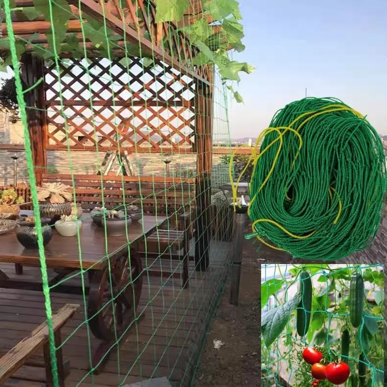 High-quality Garden Climbing Netting Strong Nylon Plant Trellis for Climbing Plants Loofah Morning Glory Flowers Cucumber Vine
High-quality Garden Climbing Netting Strong Nylon Plant Trellis for Climbing Plants Loofah Morning Glory Flowers Cucumber Vine