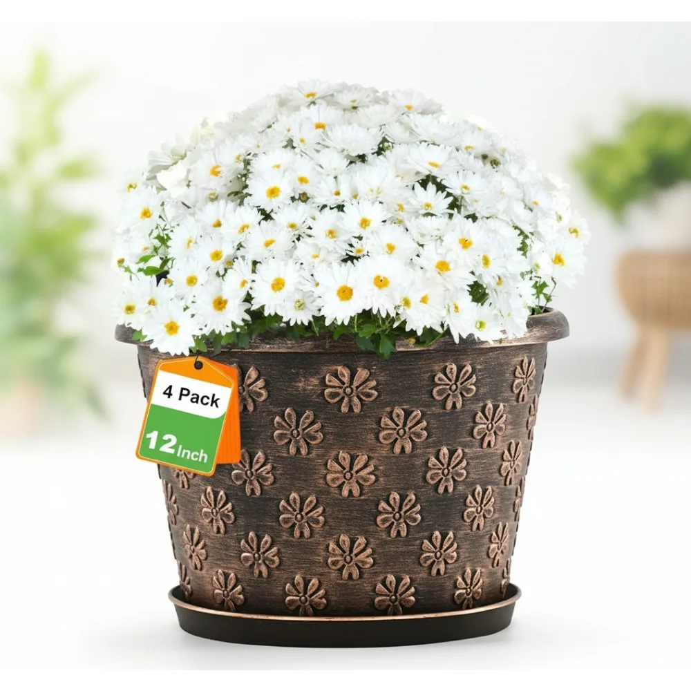 12-дюймовые большие пластиковые горшки для растений с дренажем и блюдцем, 4 упаковки ретро-комнатных и уличных цветочных горшков для домашнего декора сада
12-дюймовые большие пластиковые горшки для растений с дренажем и блюдцем, 4 упаковки ретро-комнатных и уличных цветочных горшков для домашнего декора сада