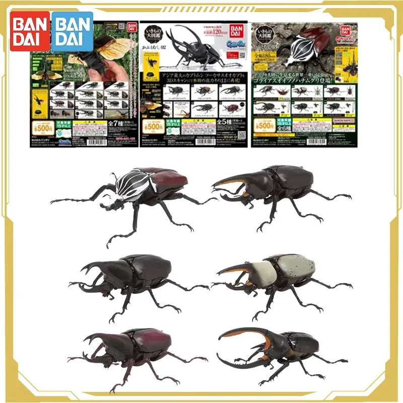 Bandai оригинальный Gashapon биологический атлас подвижная модель насекомых единорог жук 1/2/3, экшн-фигурки, игрушки для мальчиков и девочек, детский подарок
Bandai оригинальный Gashapon биологический атлас подвижная модель насекомых единорог жук 1/2/3, экшн-фигурки, игрушки для мальчиков и девочек, детский подарок