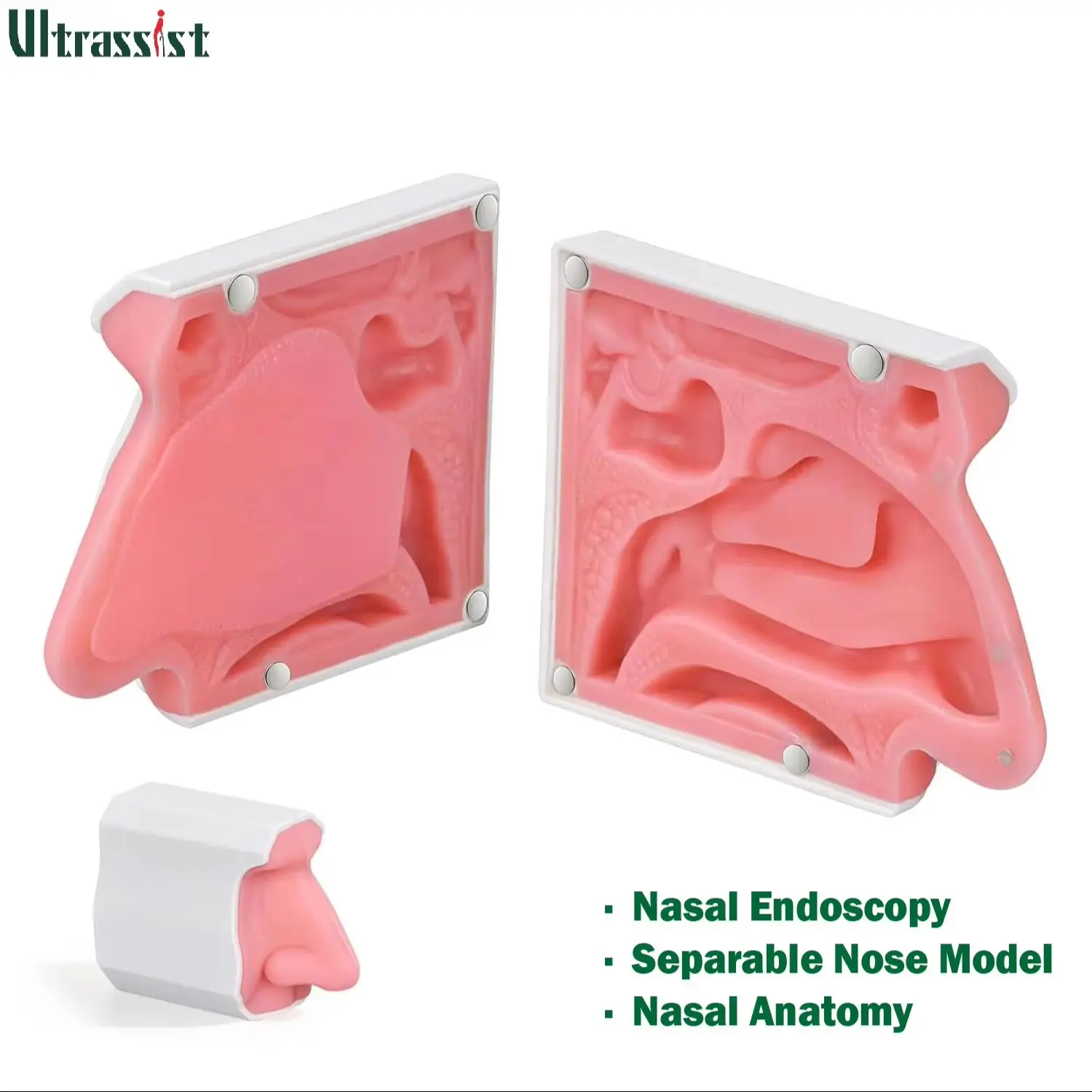 Ultrassist Human Nasal Cavity Anatomical Model Medical Anatomy Separable Nose Simulator Practice for Student Teaching Display
Ultrassist Human Nasal Cavity Anatomical Model Medical Anatomy Separable Nose Simulator Practice for Student Teaching Display