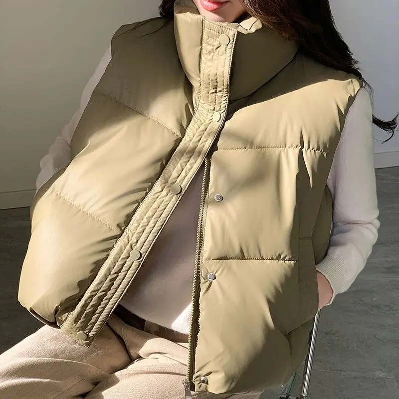 Пуховый хлопковый жилет, женская парка, коллекция 2025 года, корейское короткое пальто без рукавов, модный жилет, верхняя одежда с воротником-стойкой, женская верхняя одежда
Пуховый хлопковый жилет, женская парка, коллекция 2025 года, корейское короткое пальто без рукавов, модный жилет, верхняя одежда с воротником-стойкой, женская верхняя одежда