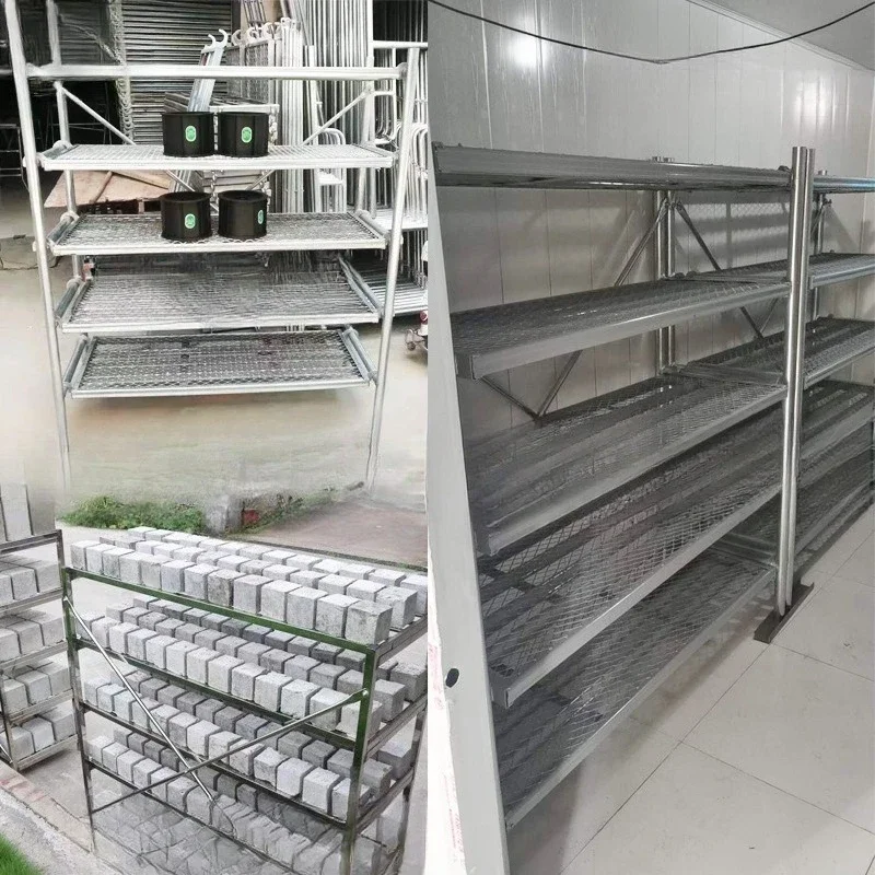 Concrete test block container curing room Constant temperature and humidity construction site test block laboratory Concrete tes
Concrete test block container curing room Constant temperature and humidity construction site test block laboratory Concrete tes