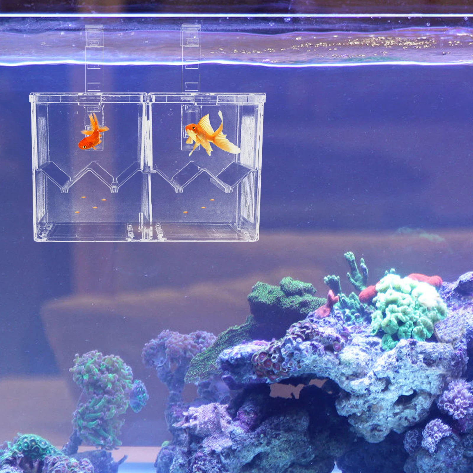 Hanging Fish Isolation Box Juvenile Hatching Container Incubator Plastic Compact Size Easy Breeding Case Tank Hatchery Aquarium
Hanging Fish Isolation Box Juvenile Hatching Container Incubator Plastic Compact Size Easy Breeding Case Tank Hatchery Aquarium