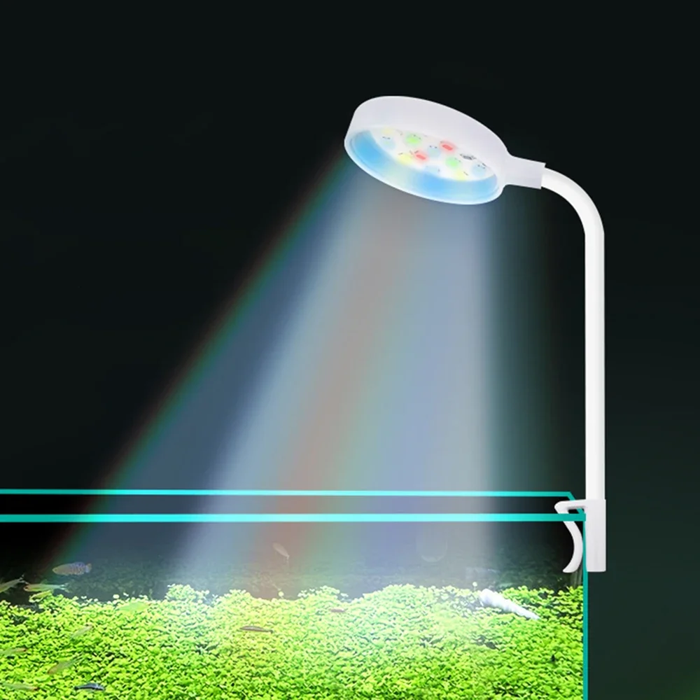 1PC Small Fish Tank Led Light Aquatic Grass Lighting Mini Fill Light Waterproof Aquarium Landscaping Accessories
1PC Small Fish Tank Led Light Aquatic Grass Lighting Mini Fill Light Waterproof Aquarium Landscaping Accessories