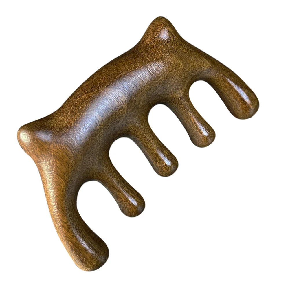 Scalp Massager Wooden Comb Fine Craftsmanship Polished Surface No Burr Comfortable Touch Travel Home Use Scalp Scraping Tool
Scalp Massager Wooden Comb Fine Craftsmanship Polished Surface No Burr Comfortable Touch Travel Home Use Scalp Scraping Tool
