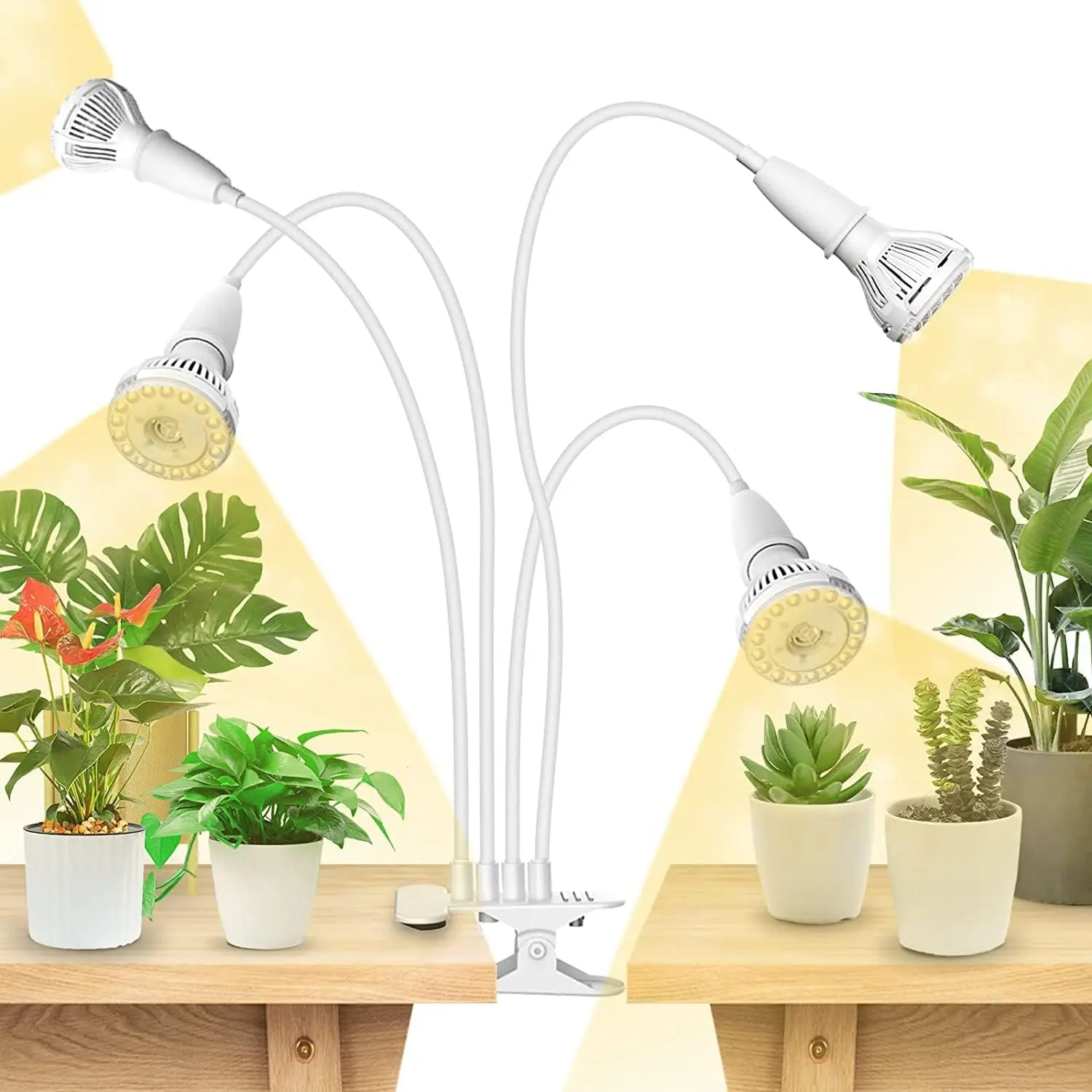 600W Full Spectrum Clip-on Gooseneck LED Grow Light for Indoor Plants, High PPFD, Replaceable Bulbs, Ceramic Tech
600W Full Spectrum Clip-on Gooseneck LED Grow Light for Indoor Plants, High PPFD, Replaceable Bulbs, Ceramic Tech