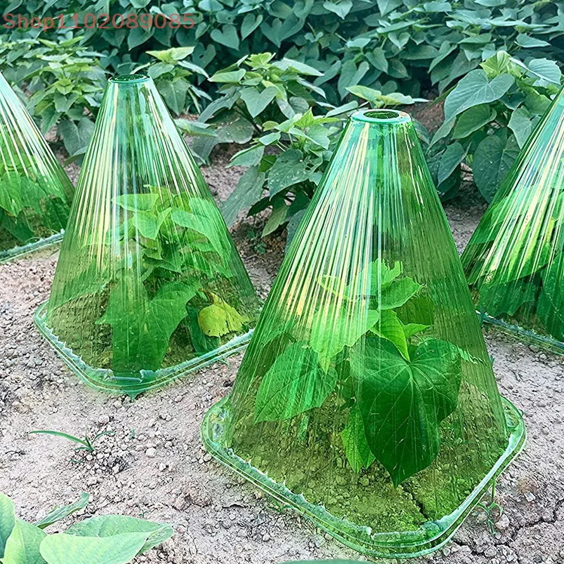 Multifunctional Garden Yard Supplies: 10PCS DIY Plant Protective Covers
Multifunctional Garden Yard Supplies: 10PCS DIY Plant Protective Covers