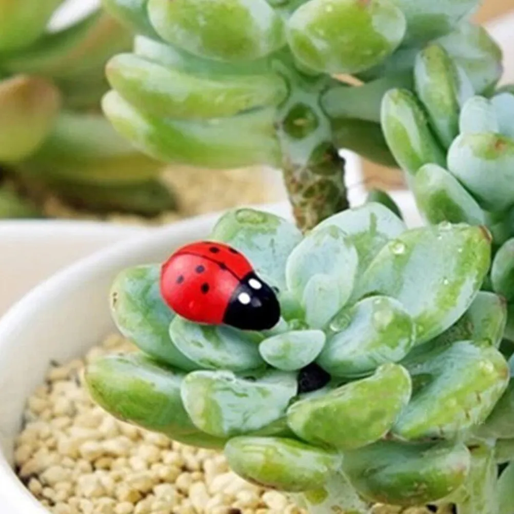 200Pcs Wooden Ladybugs Craft Decorative Insect Ornaments for Mini Garden DIY Scene Micro Landscape Bonsai Pot Decoration
200Pcs Wooden Ladybugs Craft Decorative Insect Ornaments for Mini Garden DIY Scene Micro Landscape Bonsai Pot Decoration