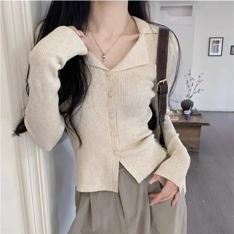 Elegant Collar Knitted Open Cardigan Women's Long Sleeve Inner Wear V Neck Sweater Base Shirt Autumn Winter Fashionable
Elegant Collar Knitted Open Cardigan Women's Long Sleeve Inner Wear V Neck Sweater Base Shirt Autumn Winter Fashionable