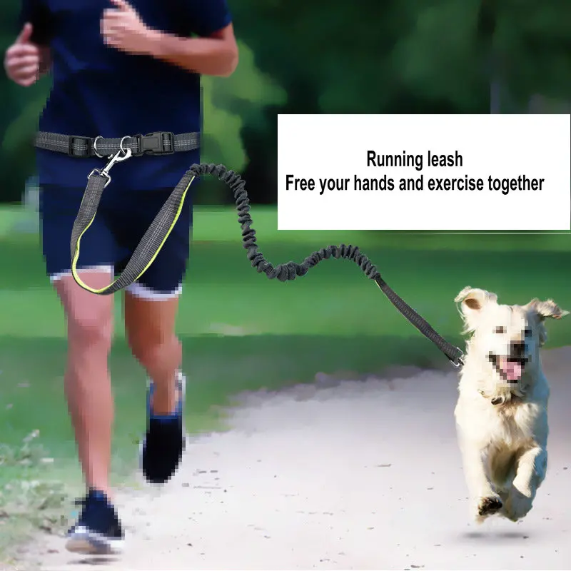 Outdool Tool Sports Straps Pet Supplies Pet Leashes Dog Running Leashes Running Leashes
Outdool Tool Sports Straps Pet Supplies Pet Leashes Dog Running Leashes Running Leashes