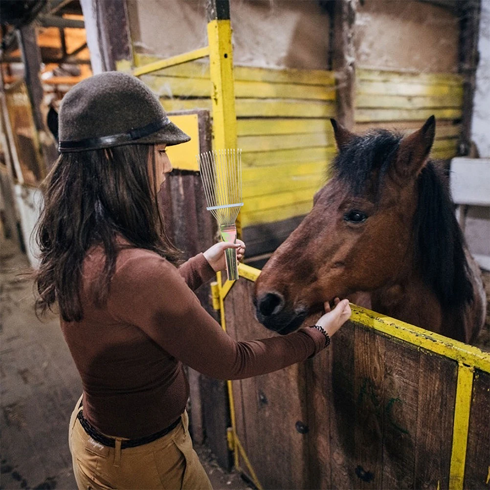 Metal Horse Brush for Grooming Fine Grinding Iron Comb Tooth Smooth Surface Comfortable Handle Livestock Hair Rake
Metal Horse Brush for Grooming Fine Grinding Iron Comb Tooth Smooth Surface Comfortable Handle Livestock Hair Rake