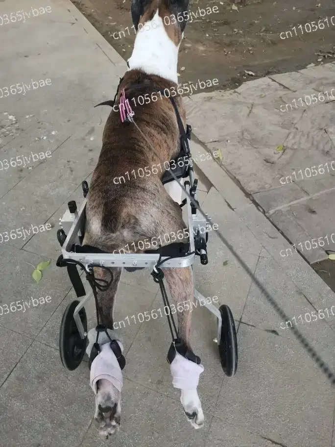 for Paralysis and Spondylitis Mobility Assistance Large Dog Wheelchair for Hind Limb Rehabilitation Training Aid
for Paralysis and Spondylitis Mobility Assistance Large Dog Wheelchair for Hind Limb Rehabilitation Training Aid