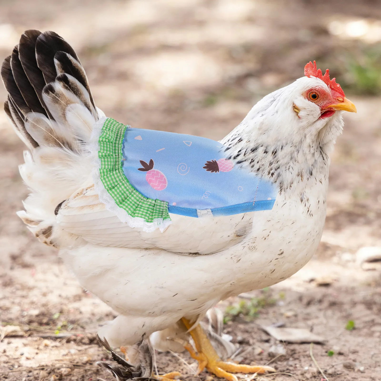 Hen Vest Chicken Saddle Protective Frame Lightweight Polyester Cute Patterns Adjustable Elastic Poultry Clothes Pet Supplies
Hen Vest Chicken Saddle Protective Frame Lightweight Polyester Cute Patterns Adjustable Elastic Poultry Clothes Pet Supplies