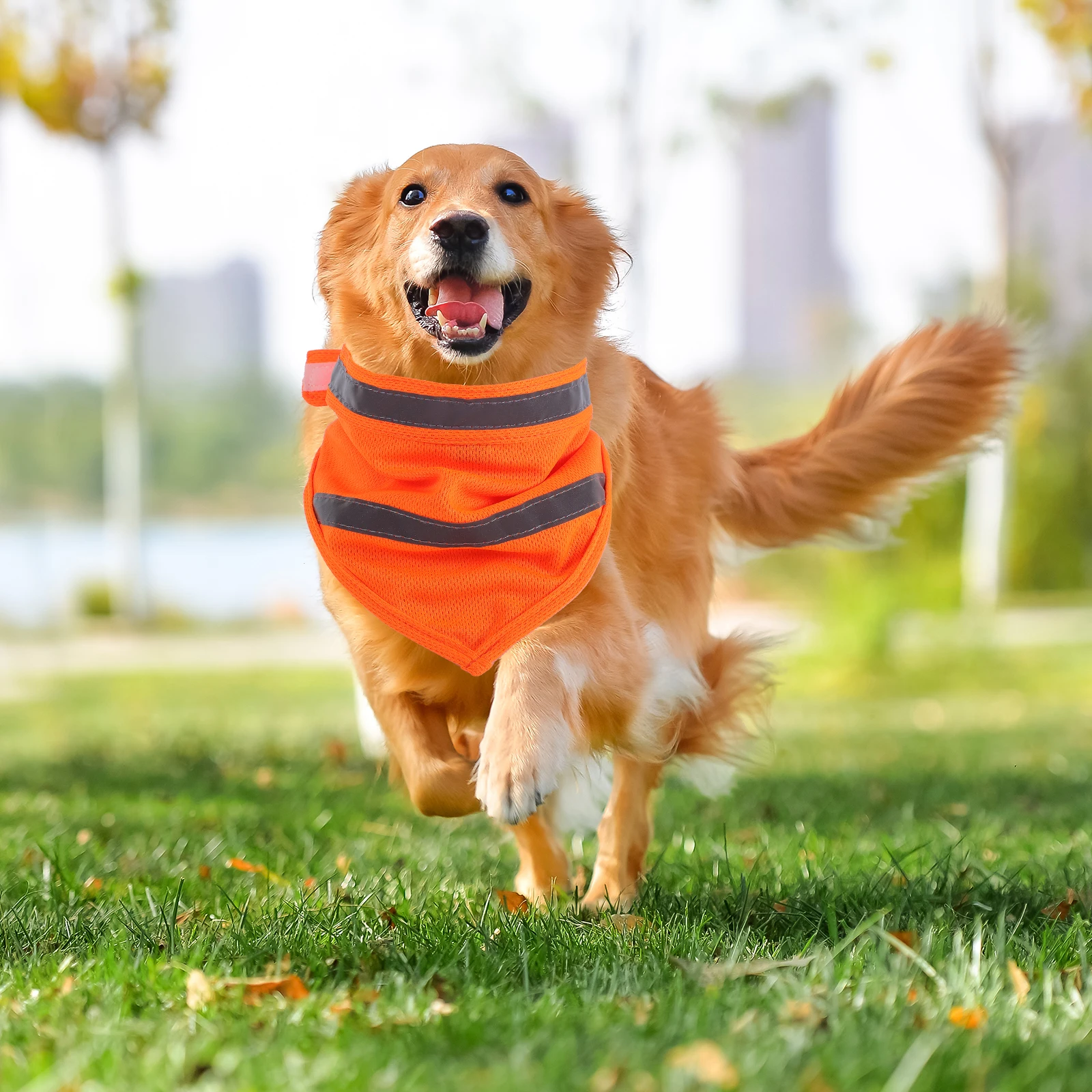 Pet Reflective Saliva Towel Puppy Dog Bandana Large Scarf Polyester for Dogs Scarfs
Pet Reflective Saliva Towel Puppy Dog Bandana Large Scarf Polyester for Dogs Scarfs