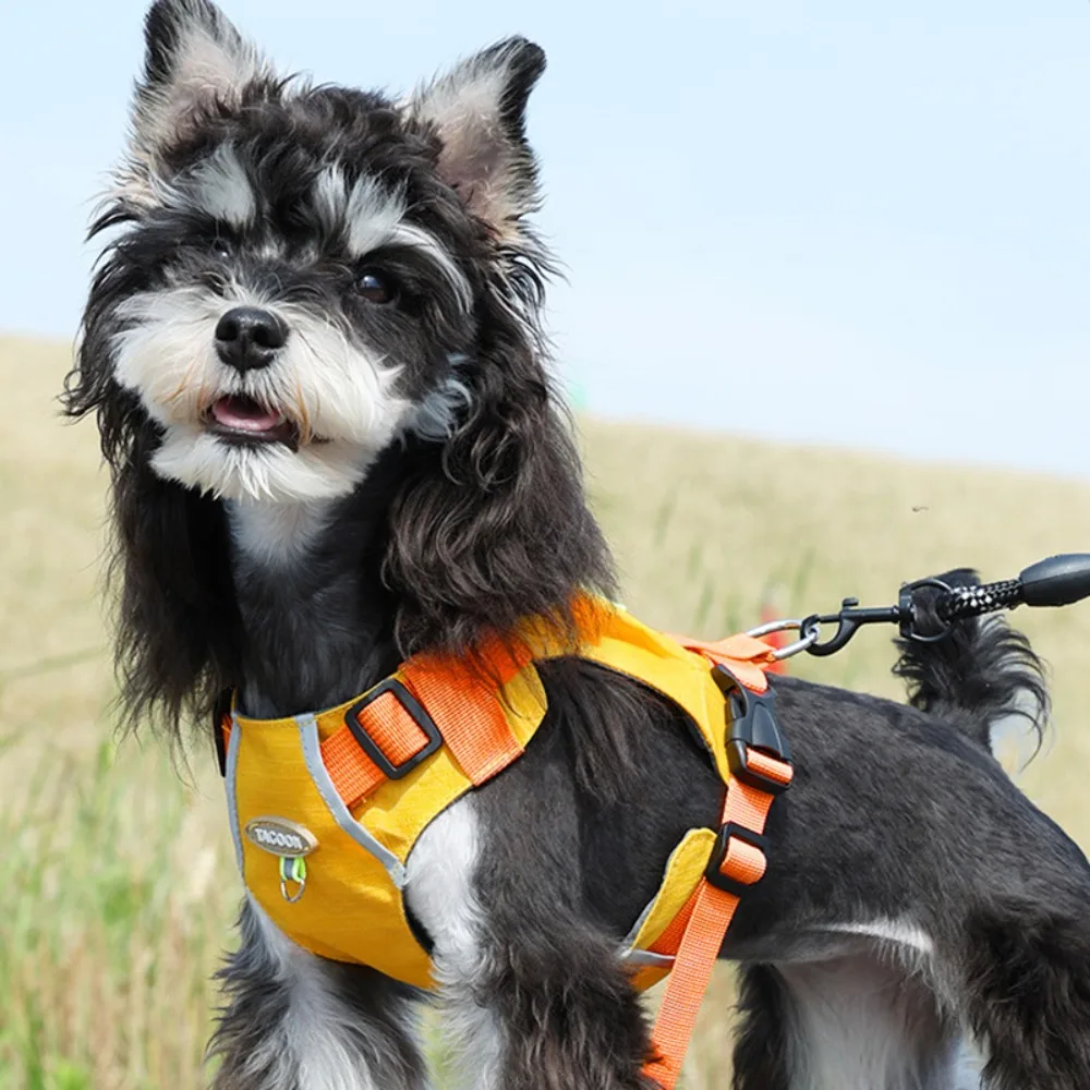 Pet Supplies Breathable Dog Harness Waterproof with Zippered Pockets Pet Vest Adjustable Reflective Dog Chest Back Outdoor
Pet Supplies Breathable Dog Harness Waterproof with Zippered Pockets Pet Vest Adjustable Reflective Dog Chest Back Outdoor