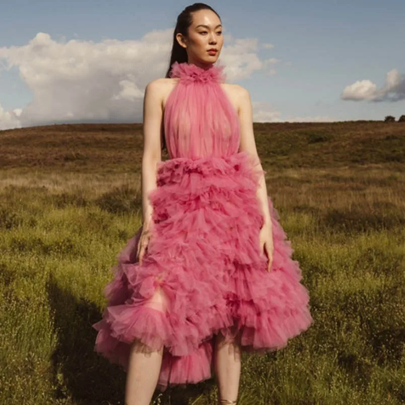 Midi Pink Dress Tea Length See Through Ball Gown Halter Ruffled Prom Dress High Low Open Back Event Dresses Elegant Ever Pretty
Midi Pink Dress Tea Length See Through Ball Gown Halter Ruffled Prom Dress High Low Open Back Event Dresses Elegant Ever Pretty