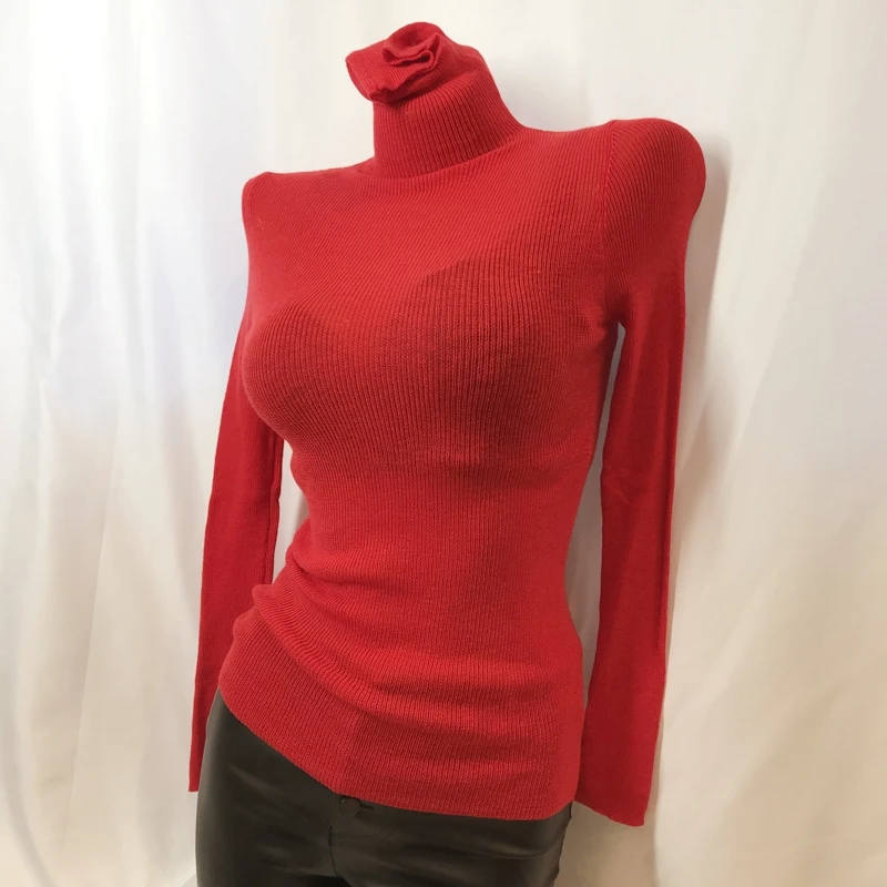 Ultra-Thin Women's Base Shirt Autumn Winter High Collar Slim Fit Color Inner Wear Sheer Wool Fleece Knitted Sweater
Ultra-Thin Women's Base Shirt Autumn Winter High Collar Slim Fit Color Inner Wear Sheer Wool Fleece Knitted Sweater