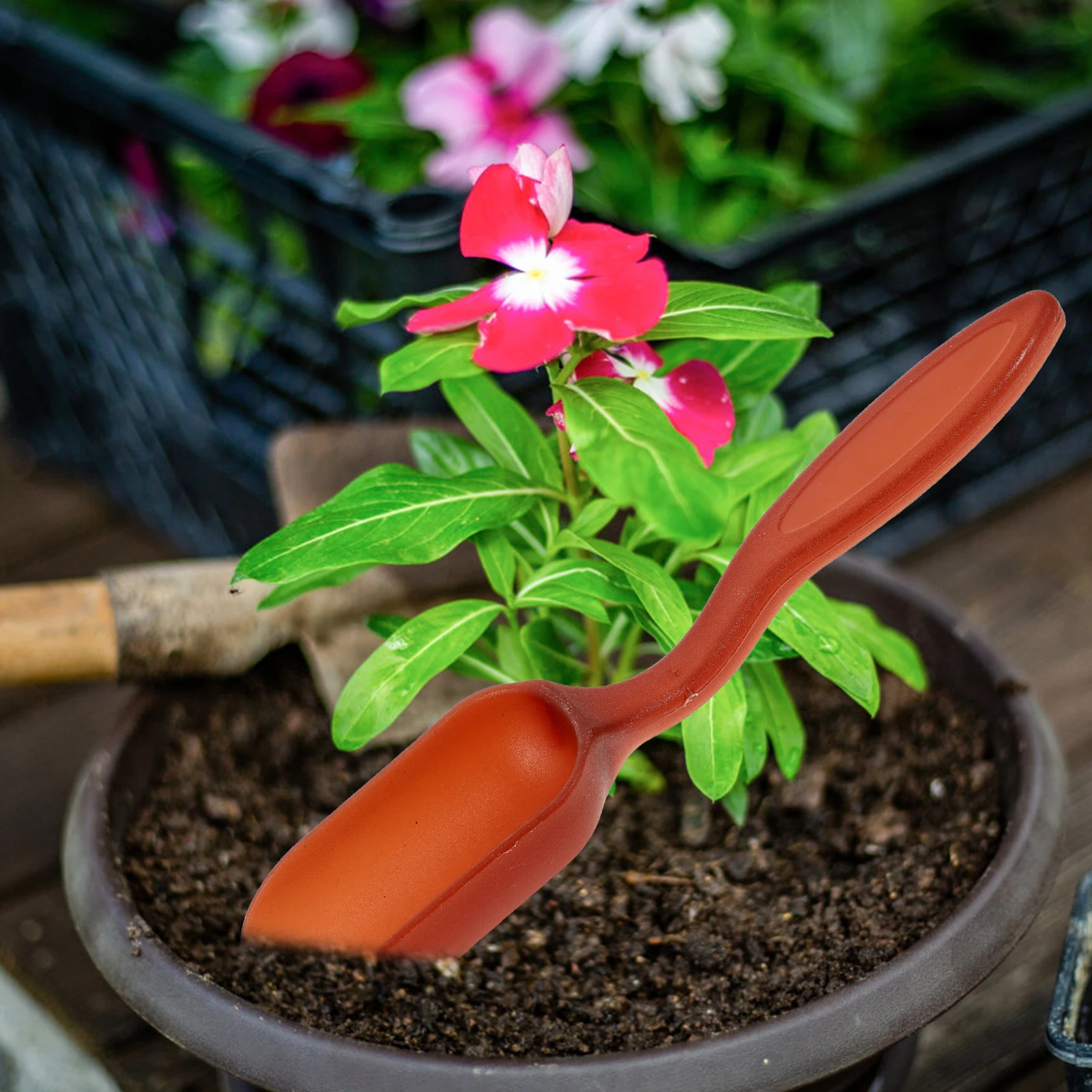 Gardening Tools Set Miniature Shovels Rake Soil Loose Iron Shears Child Tweezers Durable Wooden Metal Compact Gardening Work
Gardening Tools Set Miniature Shovels Rake Soil Loose Iron Shears Child Tweezers Durable Wooden Metal Compact Gardening Work